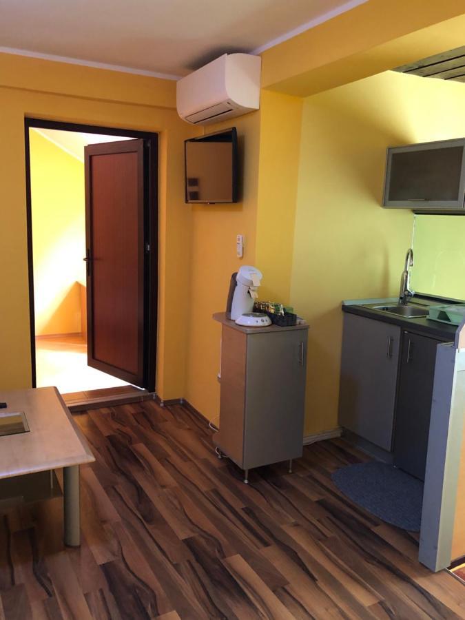 Pensiunea Haus Paltinul Sibiu Exteriér fotografie